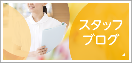 スタッフブログ